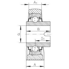 直立式軸承座單元 RASEL50-N, 鑄鐵軸承座，浮動(dòng)軸承，內(nèi)圈有驅(qū)動(dòng)槽，R 型密封